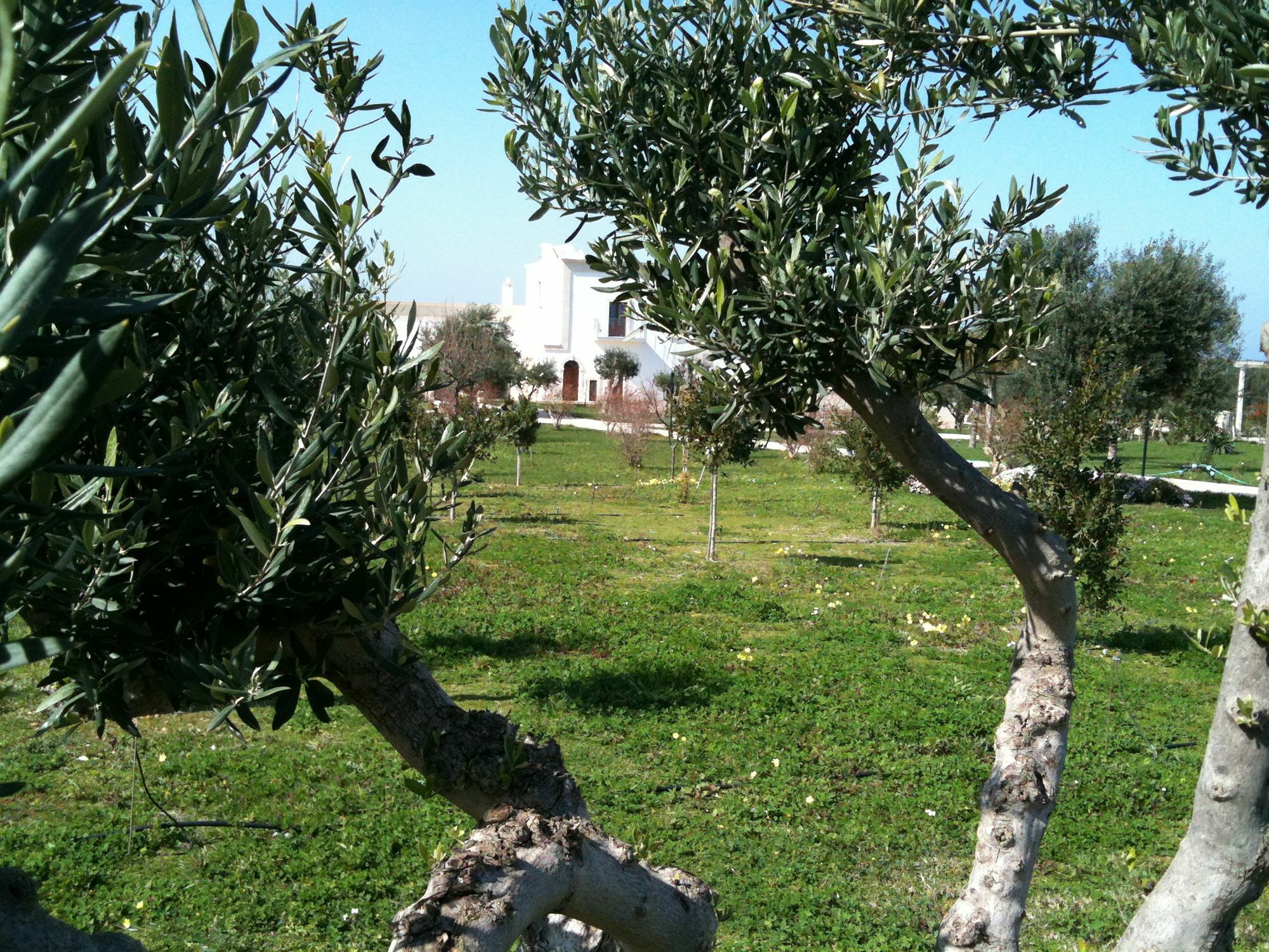 Casale del Murgese Country Resort Savelletri Exterior foto